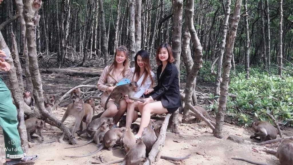 Du khách chụp hình cùng khỉ tại chiến khu Rừng Sác