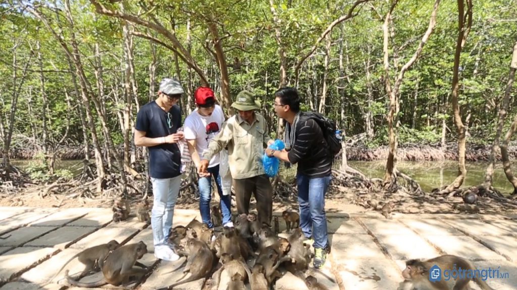 Đảo khỉ Cần Giờ