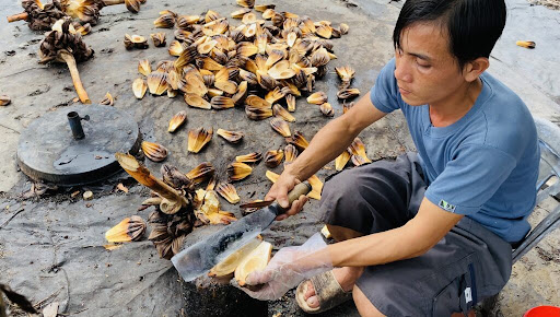 Quán dừa nước