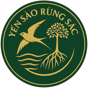 YẾN SÀO RỪNG SÁC