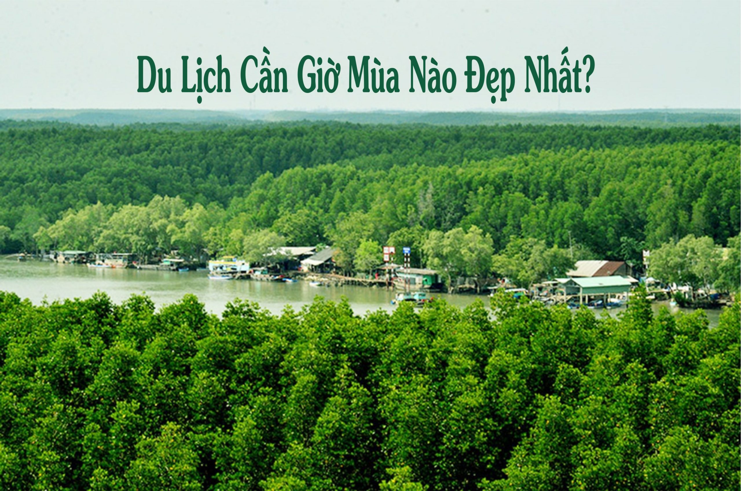 Du lịch Cần Giờ mùa nào đẹp nhất?