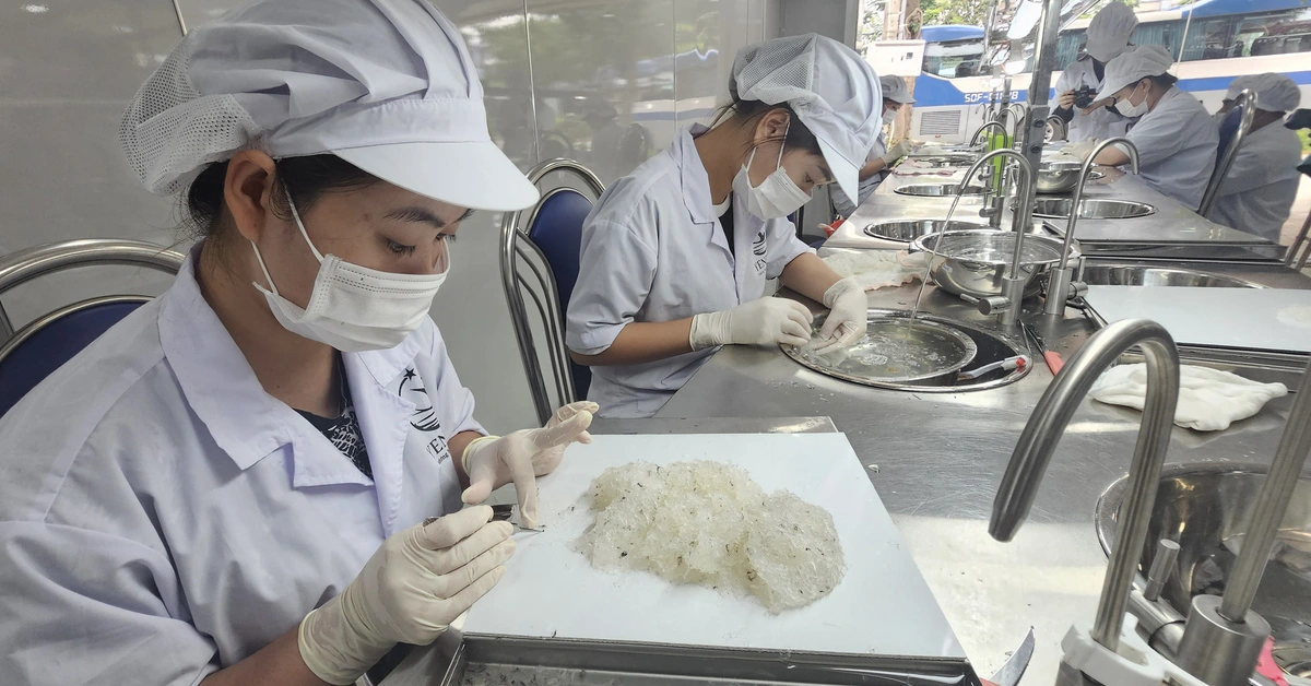 Yến sào Cần Giờ